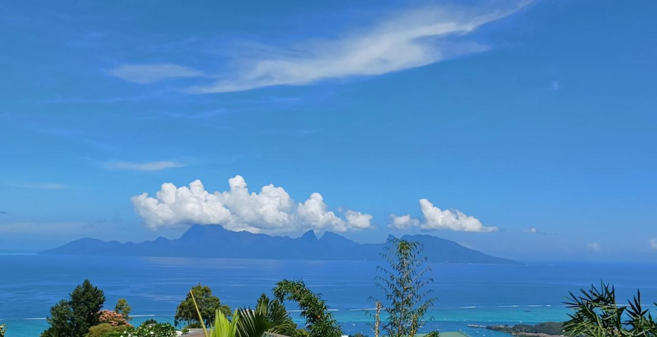 Studio Confort Avec Piscine Et Vue Tahiti Punaauia Ngoại thất bức ảnh