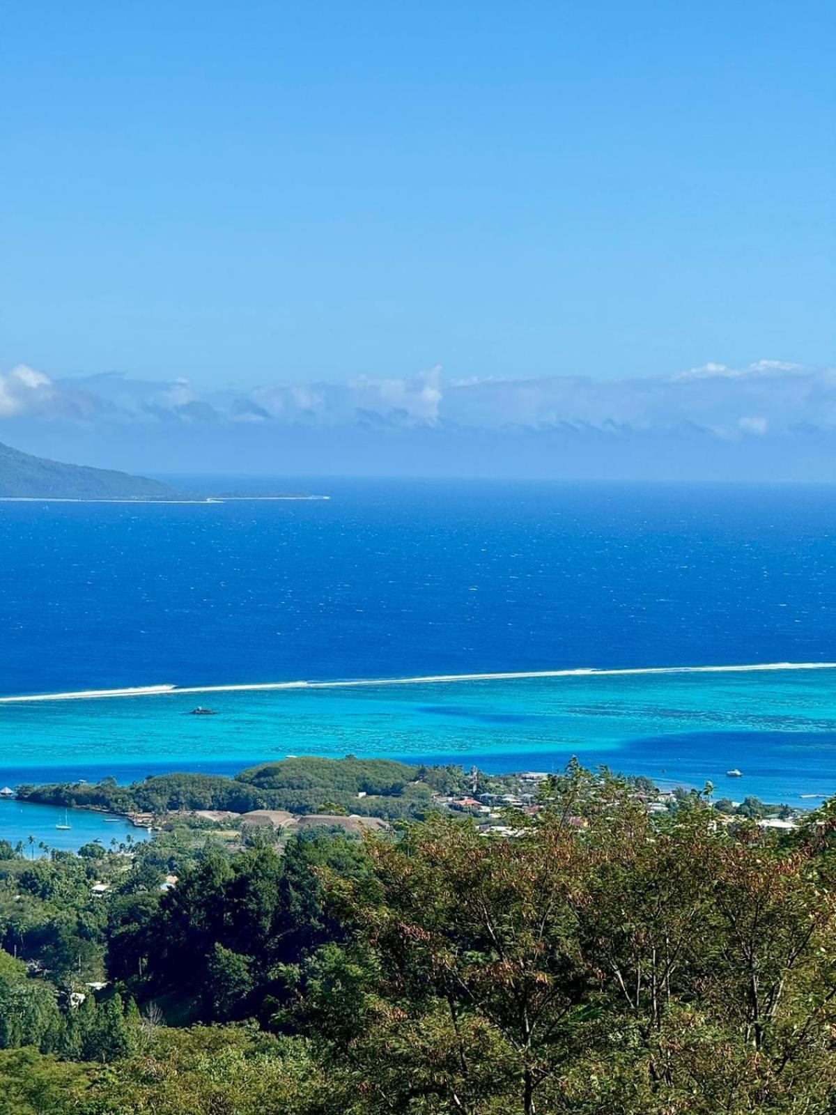 Studio Confort Avec Piscine Et Vue Tahiti Punaauia Ngoại thất bức ảnh